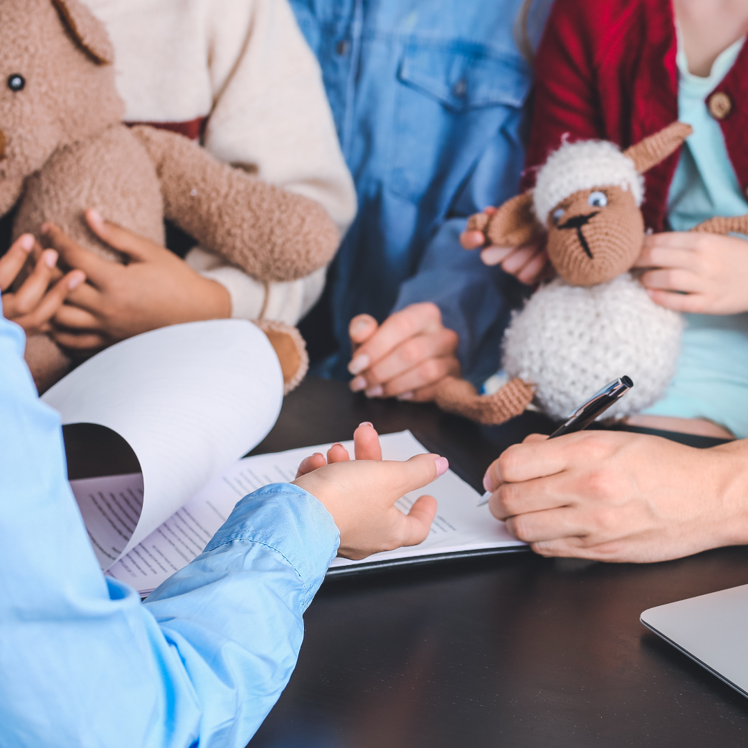 Different Kinds of Adoptions in Agencies