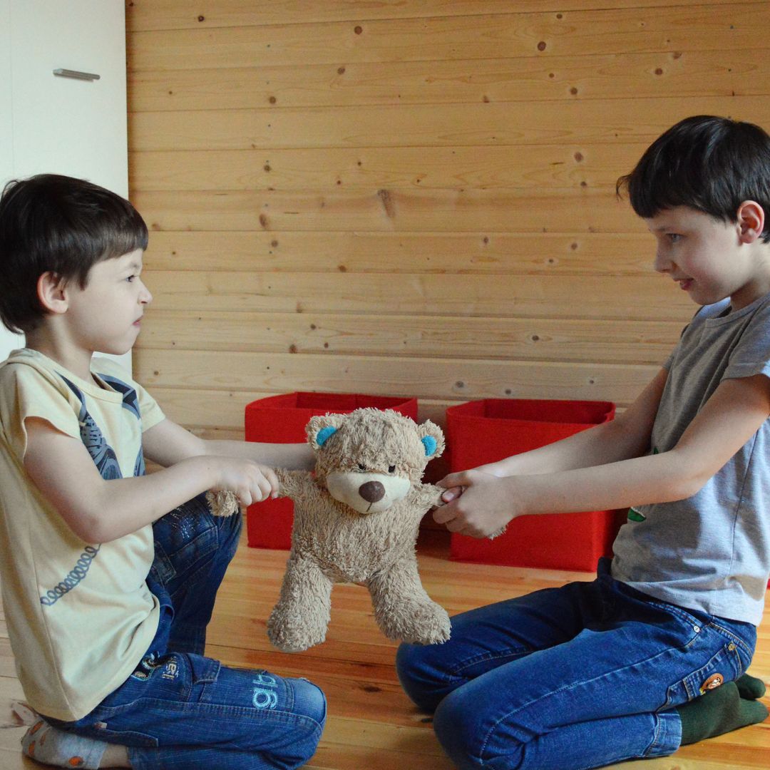 What are the Disadvantages of Blended Family? Your Law Firm